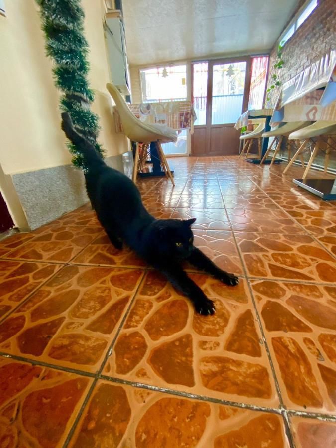 Хостелы Esentai Hostel Алматы-31